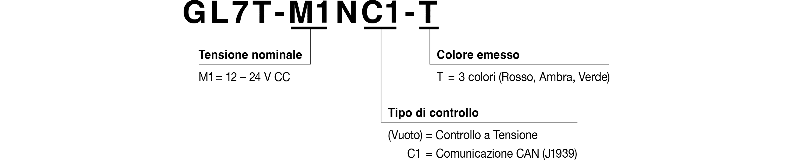 Codice Modello