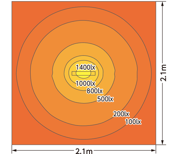 Grafico distribuzione illuminamento